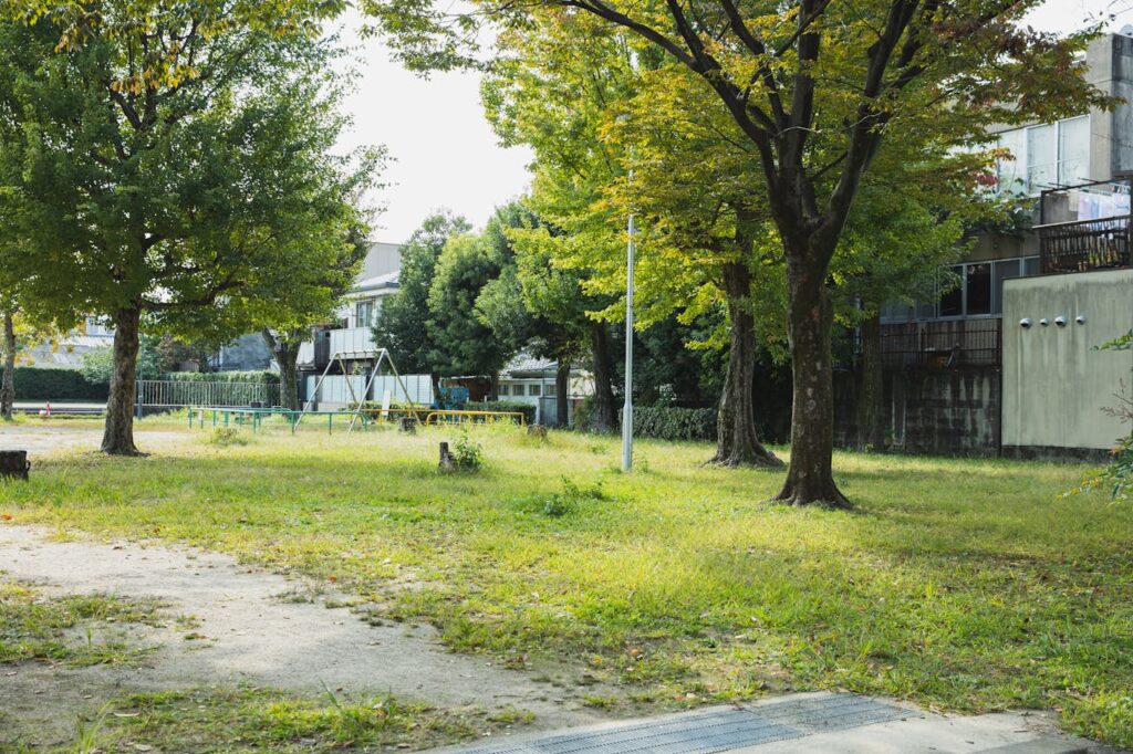 Green yard with trees in city